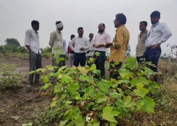 जिल्हाधिकाऱ्यांकडून नुकसानग्रस्त क्षेत्राची पाहणी