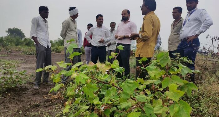 जिल्हाधिकाऱ्यांकडून नुकसानग्रस्त क्षेत्राची पाहणी