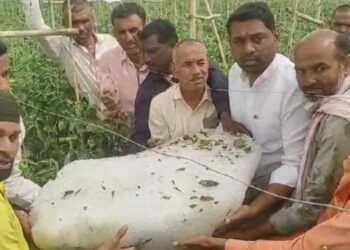 विदर्भाला अवकाळीचा तडाखा गारपिटीने शेतीचे नुकसान, ५० किलोची गार पाहण्यासाठी गर्दी