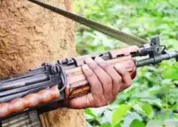 महाराष्ट्र-छत्तीसगड सीमेवर पोलीस – नक्षलवाद्यांमध्ये चकमक