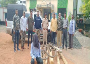 पातूर येथे सागवान तस्कराला अटक एक फरार पातूर वनविभागाची कारवाई