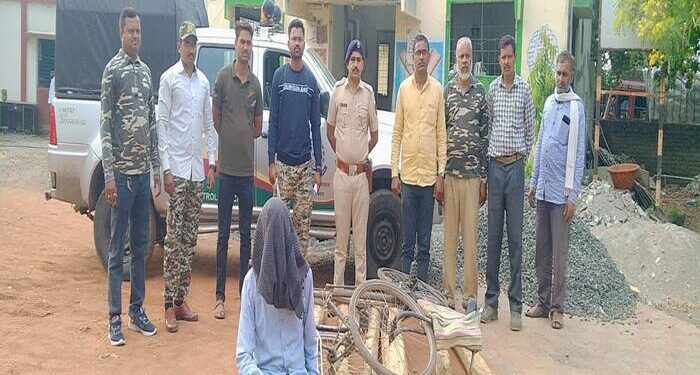 पातूर येथे सागवान तस्कराला अटक एक फरार पातूर वनविभागाची कारवाई