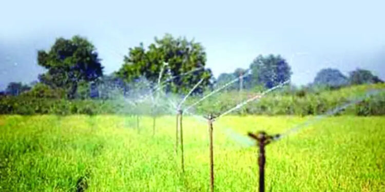 तुषार व ठिबक संचासाठी महाडीबीटीवर अर्ज घेणे सुरू जिल्ह्यातील अधिकाधिक शेतकऱ्यांनी लाभ घ्यावा