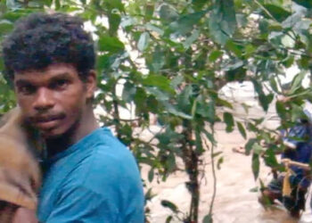 किर्र जंगल, धो-धो पावसात त्याने ३६ तास काढले झाडावर!