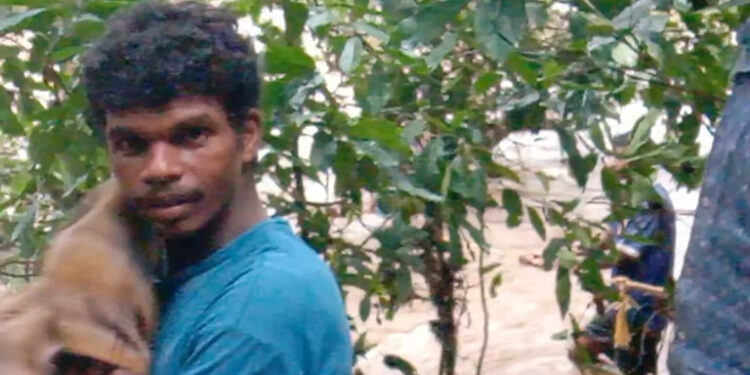 किर्र जंगल, धो-धो पावसात त्याने ३६ तास काढले झाडावर!