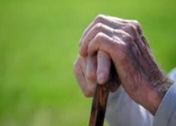 श्रावणबाळ योजनेचा निधी वापरणार ‘ वयोश्री ‘ साठी सहा लाखांवर अर्ज