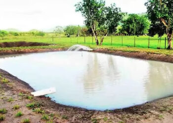 मागेल त्याला शेततळे योजनेसाठी अर्ज कसा करावा? योजनेच्या अटी काय आहेत?