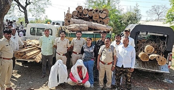 आलेगाव येथे वनविभागचि धडक कारवाईत लाखोचे सागवान जप्त